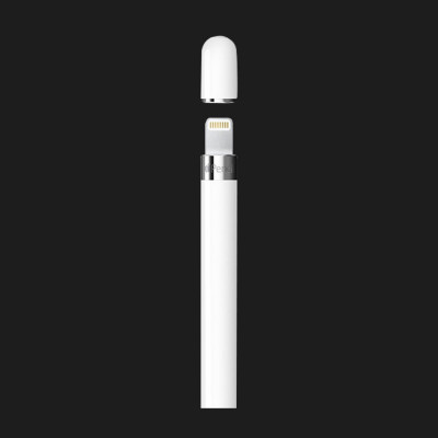 Стiлус Apple Pencil with USB-C to Apple Pencil Adapter (MQLY3)