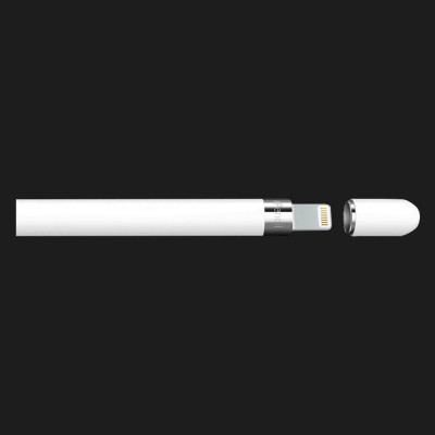 Стiлус Apple Pencil with USB-C to Apple Pencil Adapter (MQLY3)