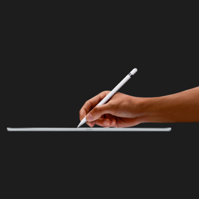 Стiлус Apple Pencil with USB-C to Apple Pencil Adapter (MQLY3)