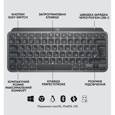 Комплект (клавіатура + миша) LOGITECH MX Keys Mini Combo for Business-GRAPHITE-US (920-011061)