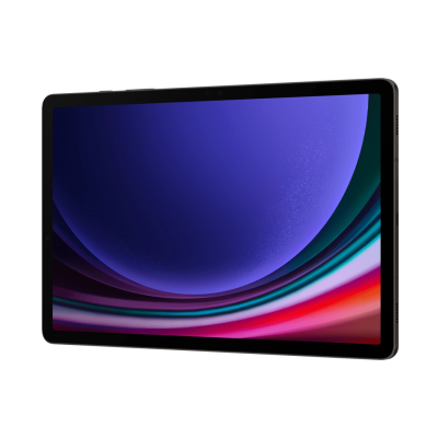 Планшет Samsung  Galaxy Tab S9 5G 256GB Graphite (SM-X716BZAESEK)