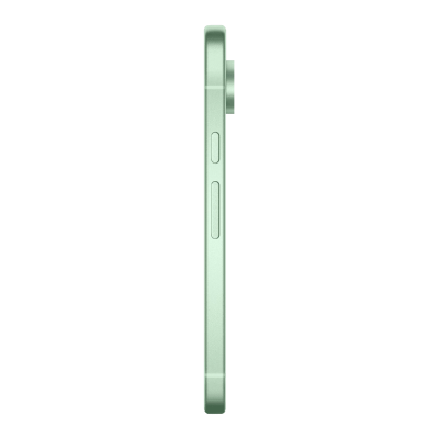 Смартфон Google Pixel 9 12/256GB Wintergreen